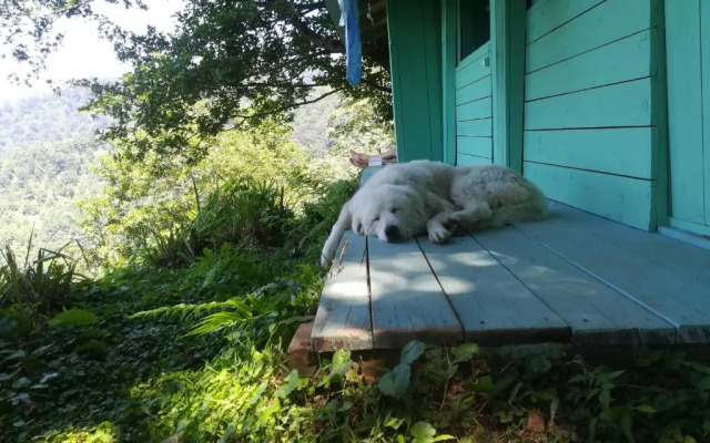 Door2heaven view bungalow