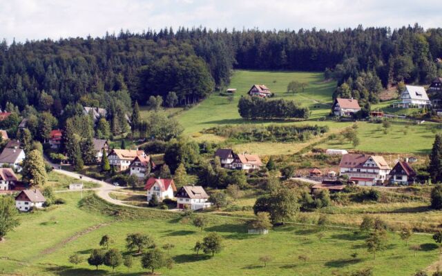 Tillisch (SWN100)