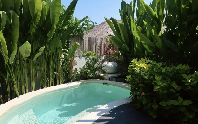 The Garden Shacks at Sandy Bay