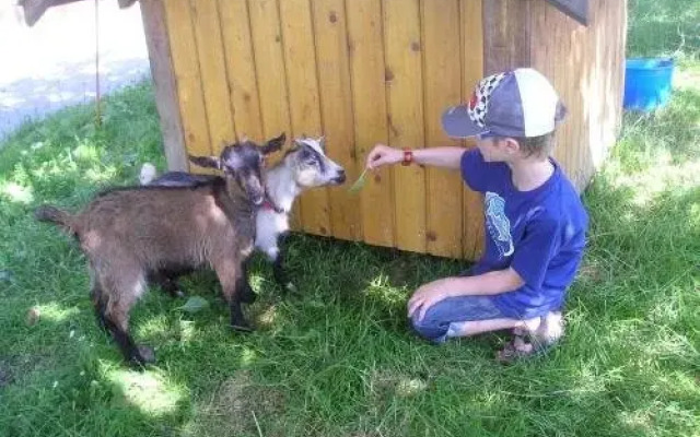 Familien Ring und Vogl