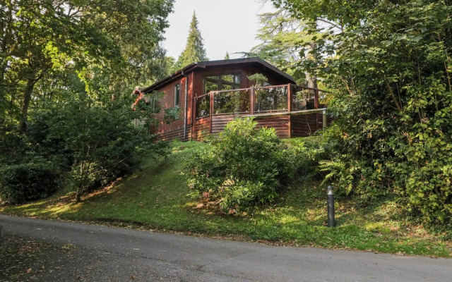 Tree House, Partial Lake Views
