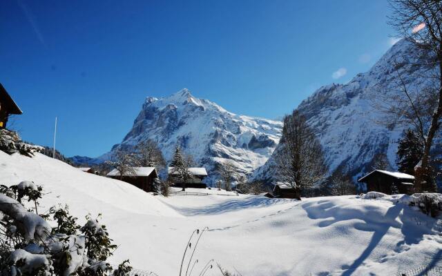 Apartment Grindelwaldgletscher - Griwarent Ag