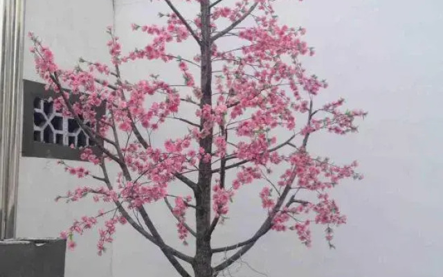 Dehua Xianjuju