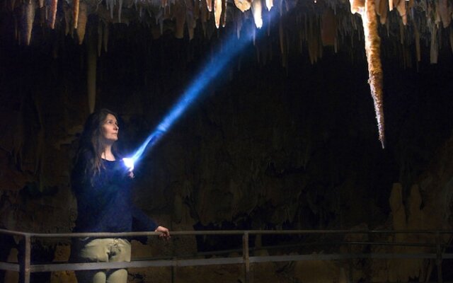 Aven Grotte Forestière