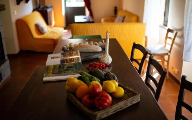 Wonderful Private Villa With Wifi, Private Pool, TV, Terrace, Pets Allowed, Parking, Close to Arezzo