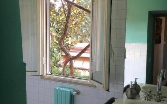 Garibaldi Roof Garden