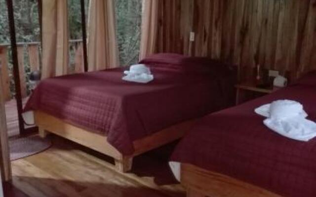 The Green Tree Lodge