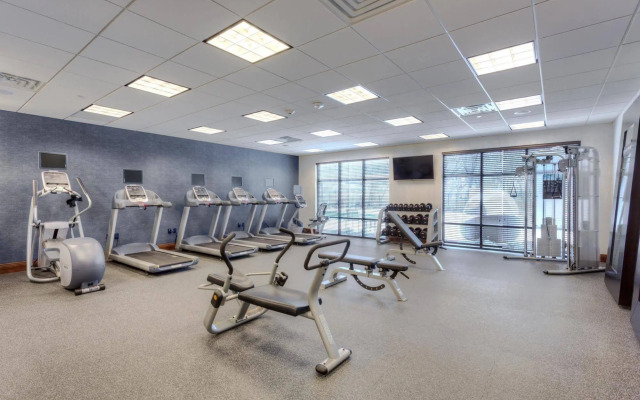 Hampton Inn & Suites Dallas/Plano-East