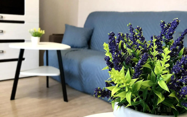 Апартаменты на проезде Пограничный 9