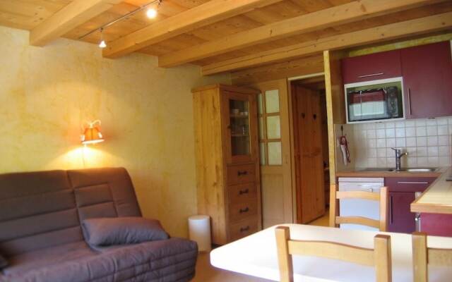 PARNASSE 203 La Clusaz skis aux pieds