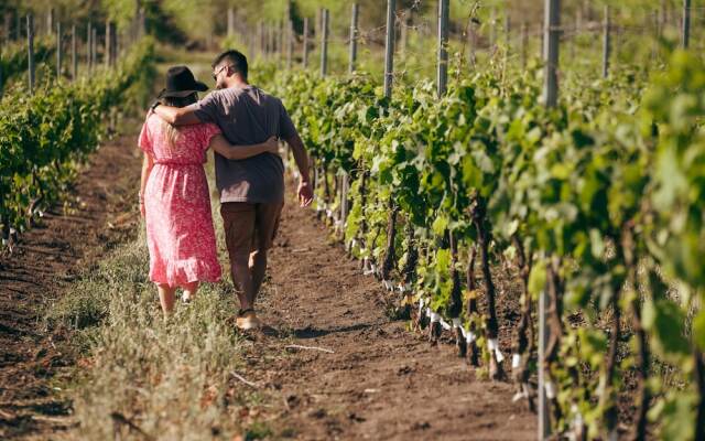 Finca del Sacramento