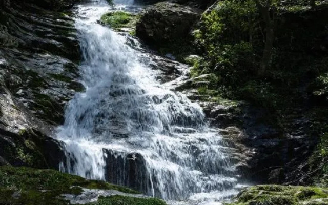 Wugong Mountain Hongyan Valley Leisure Mountain Villa