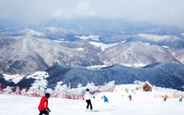 Pyeongchang Forest Hotel