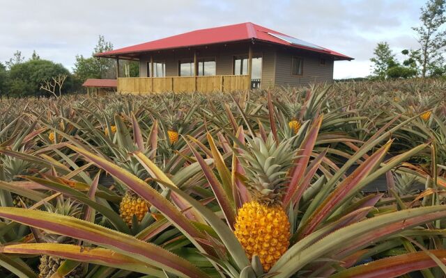 Maunga roa eco lodge