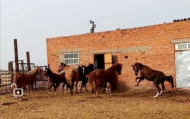 Станица Черноярская