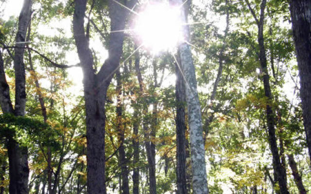 Kokumin Shukusha Sugikubo House