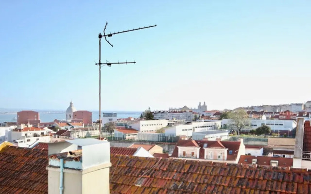 Akicity Graça Pearl II