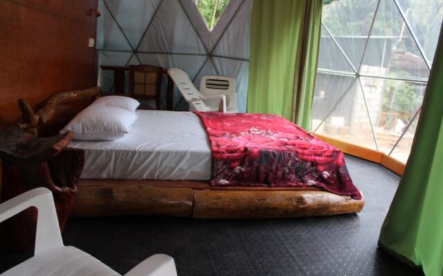 Ella Eco Domes