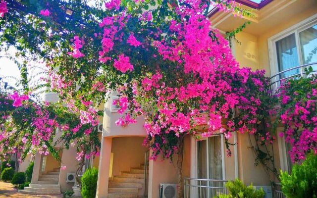 Villa Doga