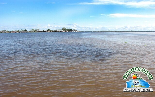 Cumaceba Amazon Lodge