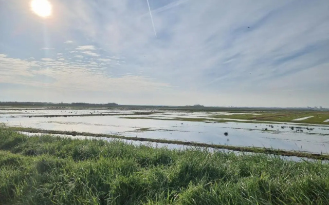 Very nice cottage in Durgerdam, with private garden, free parking, pets allowed