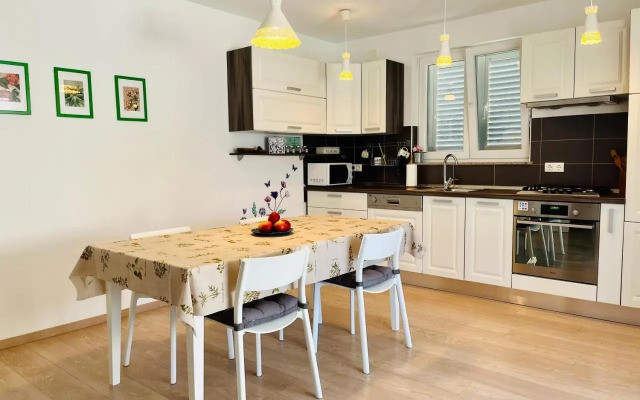 Apartments Elvira