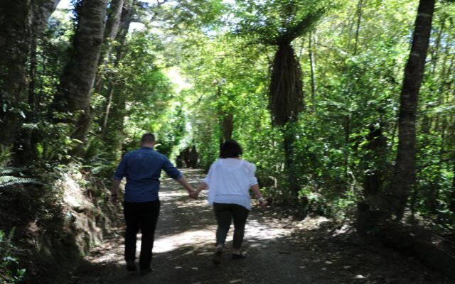 Mohua Park - Catlins Eco Accommodation