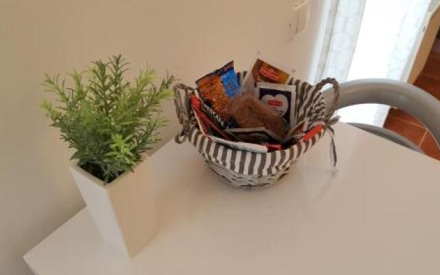 Apartment Roko