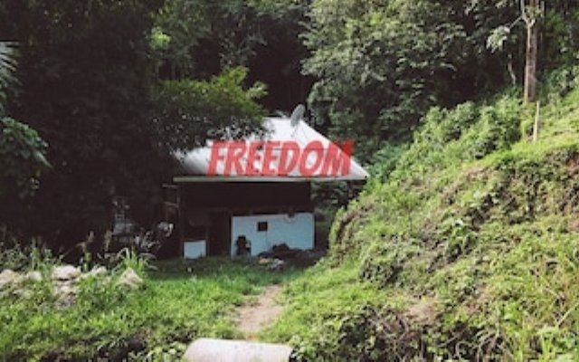 Freedom Jungle