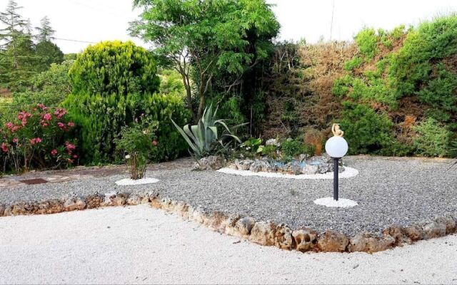 Il Tulipano Verde B&B