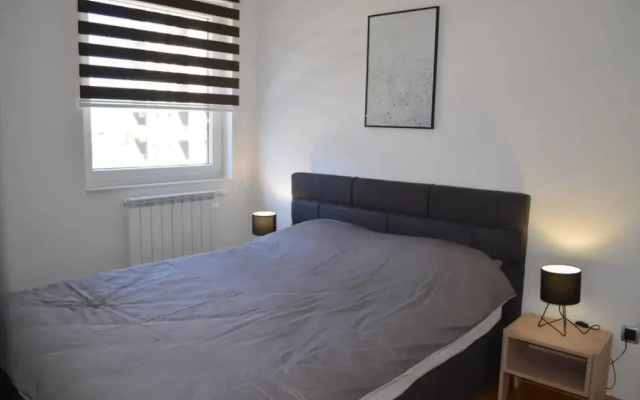 Comfy New Apartment