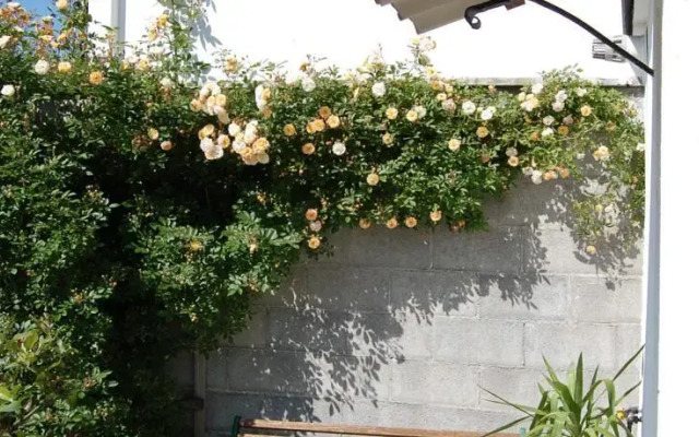 B&B Cascina Tettassi