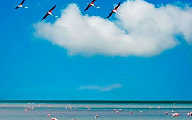 B&B IL Nido Sant'Antioco