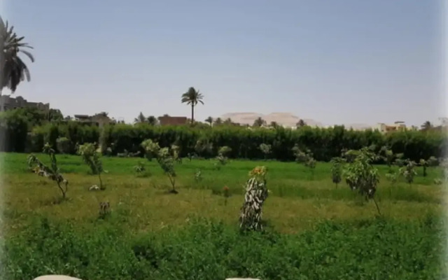 Harmony Villas Luxor Egypt