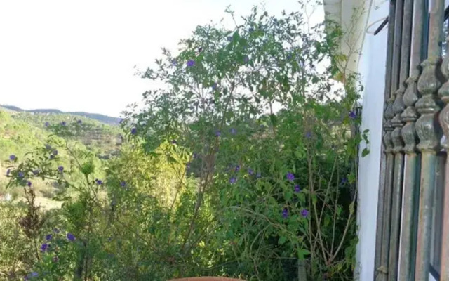 V3 Casa da Quinta Nova