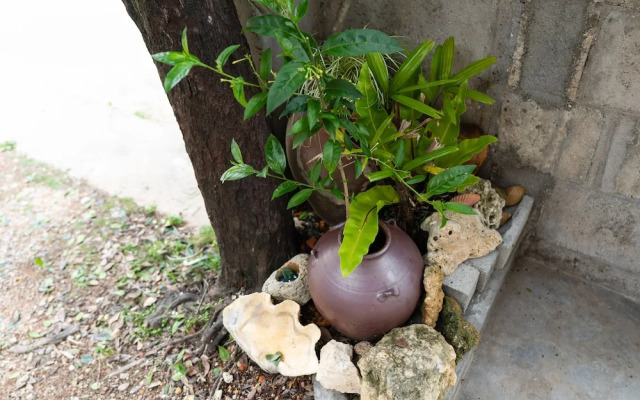 Vacation Rental Okinawa NANATSU BOSHI