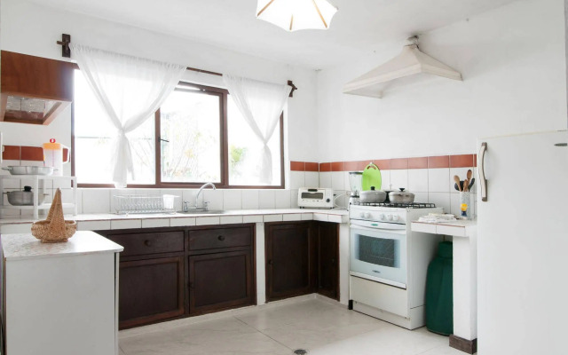 Apartamentos Otorongo