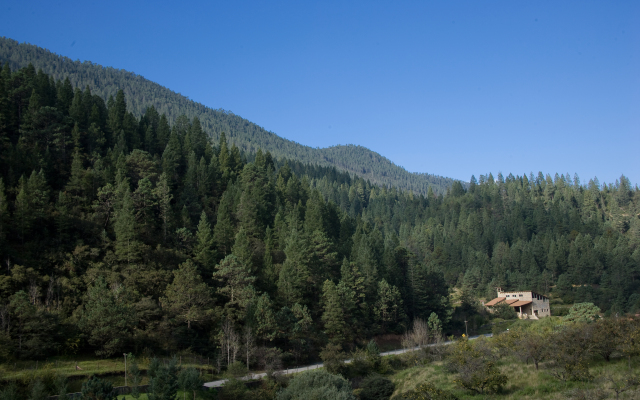 Bosques De Monterreal