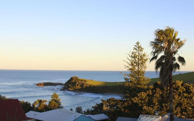 WHALE WATCH FOR FOUR Gerringong 4pm check out Sundays