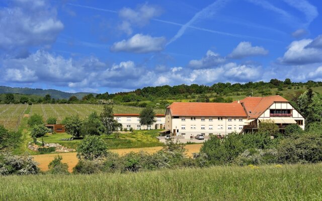 Hotel du Bollenberg