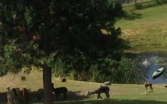 CdA Ranch - Villa d Amoore - Guest House