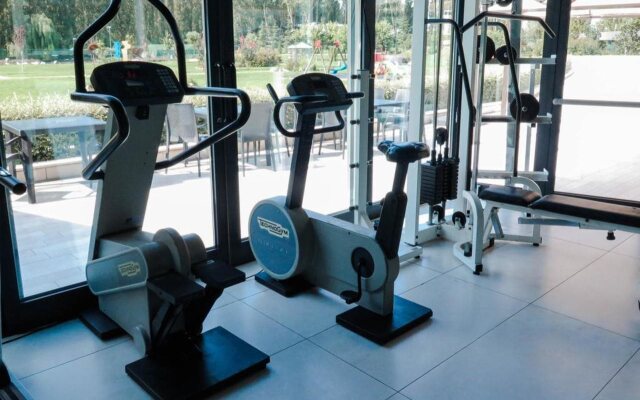 ibis Styles Milano Est Settala