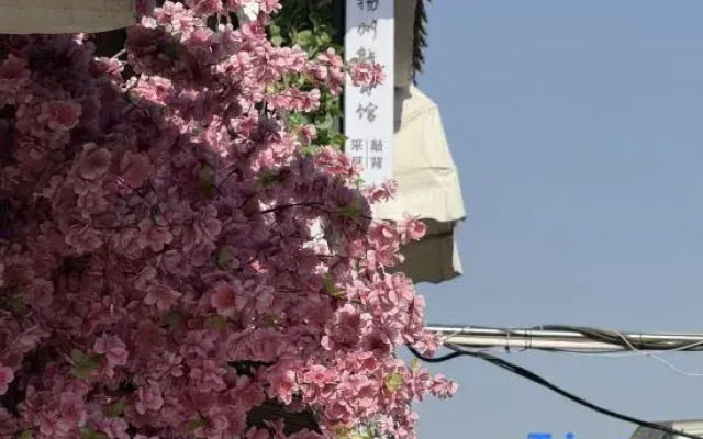 Youju Homestay