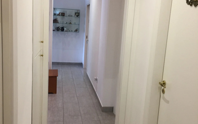 International Garibaldi