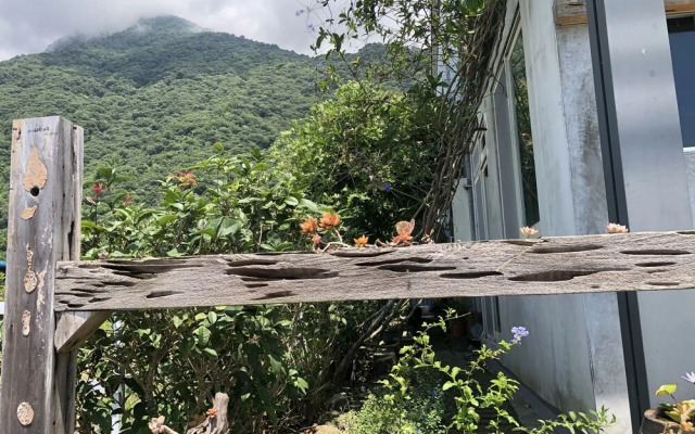Taroko Dan Aigle