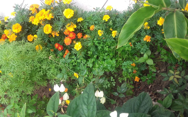 Pousada Aconchego Recanto do Mar