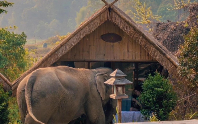 3pok resort Maewang jinxing
