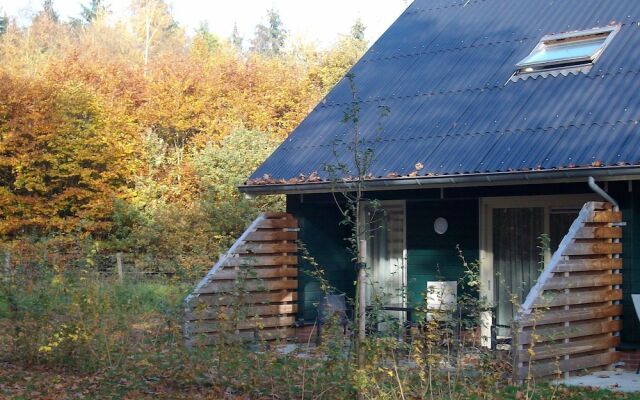 Semi-detached House With a Dishwasher, at 9 km van Slagharen