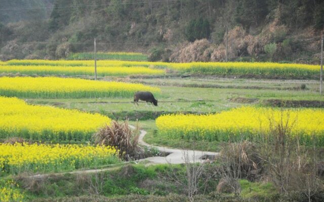 Wuyuan Youpin Yuanli Inn