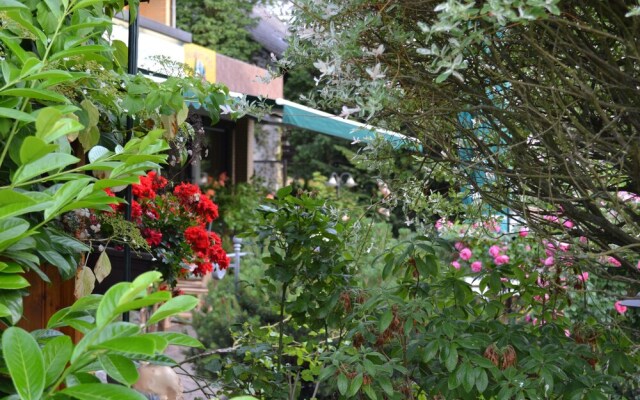 Forest Apartments & Rooms